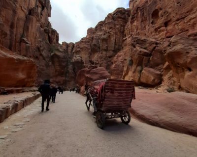 jordania6[1]